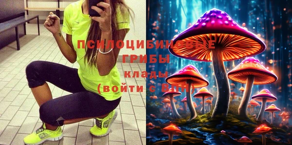 PSILOCYBIN Алзамай