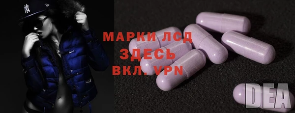PSILOCYBIN Алзамай