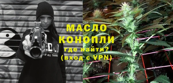 тгк Абаза