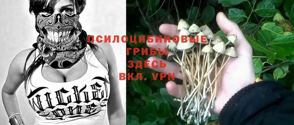 PSILOCYBIN Алзамай