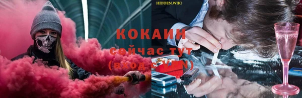 мдпв Сафоново